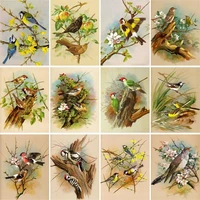 gatyztory frame birds diy painting by numbers home decor wall painting coloring paint on canvas unique gift for wall art picture