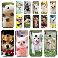 maiyaca cute pet chihuahua dog phone case for huawei honor 10 i 8x c 5a 20 9 10 30 lite pro voew 10 20 v30