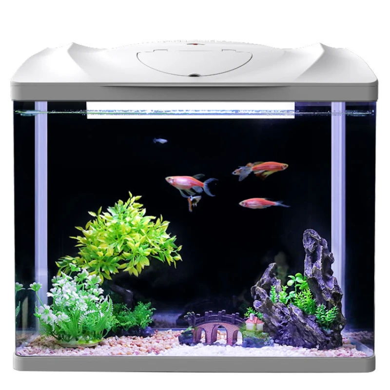 

Аквариум, экологичный Настольный креативный аквариум для золотой рыбы, стеклянный мини-аквариум для маленькой гостиной, домашний аквариум без воды, аквариум