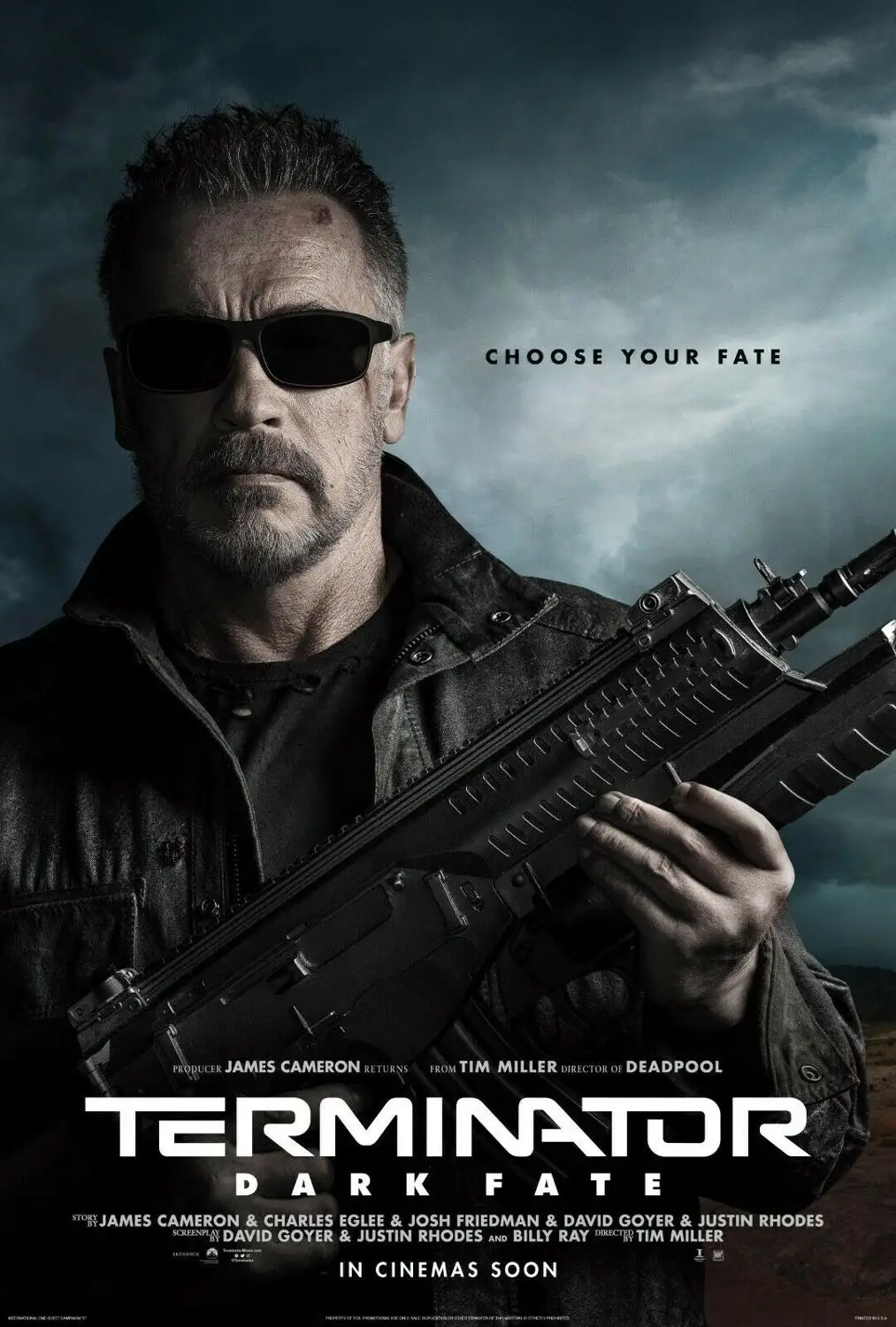 

Terminator: Dark Fate Movie Art print Silk poster Home Wall Decor