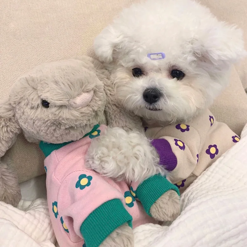 

Dog Clothes Clothes Cat Dog Teddy Medium Four-legged Pet Bichon Floret Clothes Four-legged Winter Pomeranian Small Dog Autumn