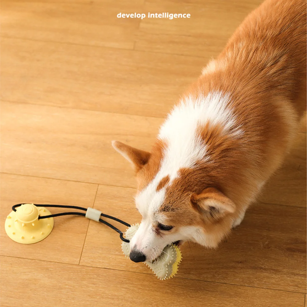 

Интерактивная игрушка на присоске для собак, пеньковая веревка с резиновыми протекающими шариками для маленьких собак, жевательные игрушки для чистки зубов домашних животных