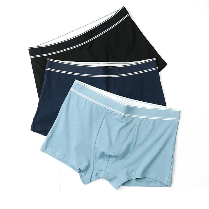 3Pcs Solid Cotton Men's Panties Soft Man Boxer Breathable Underpantss Sports Briefs Mens Sexy Underwear 2022 Quick Dry Shorts