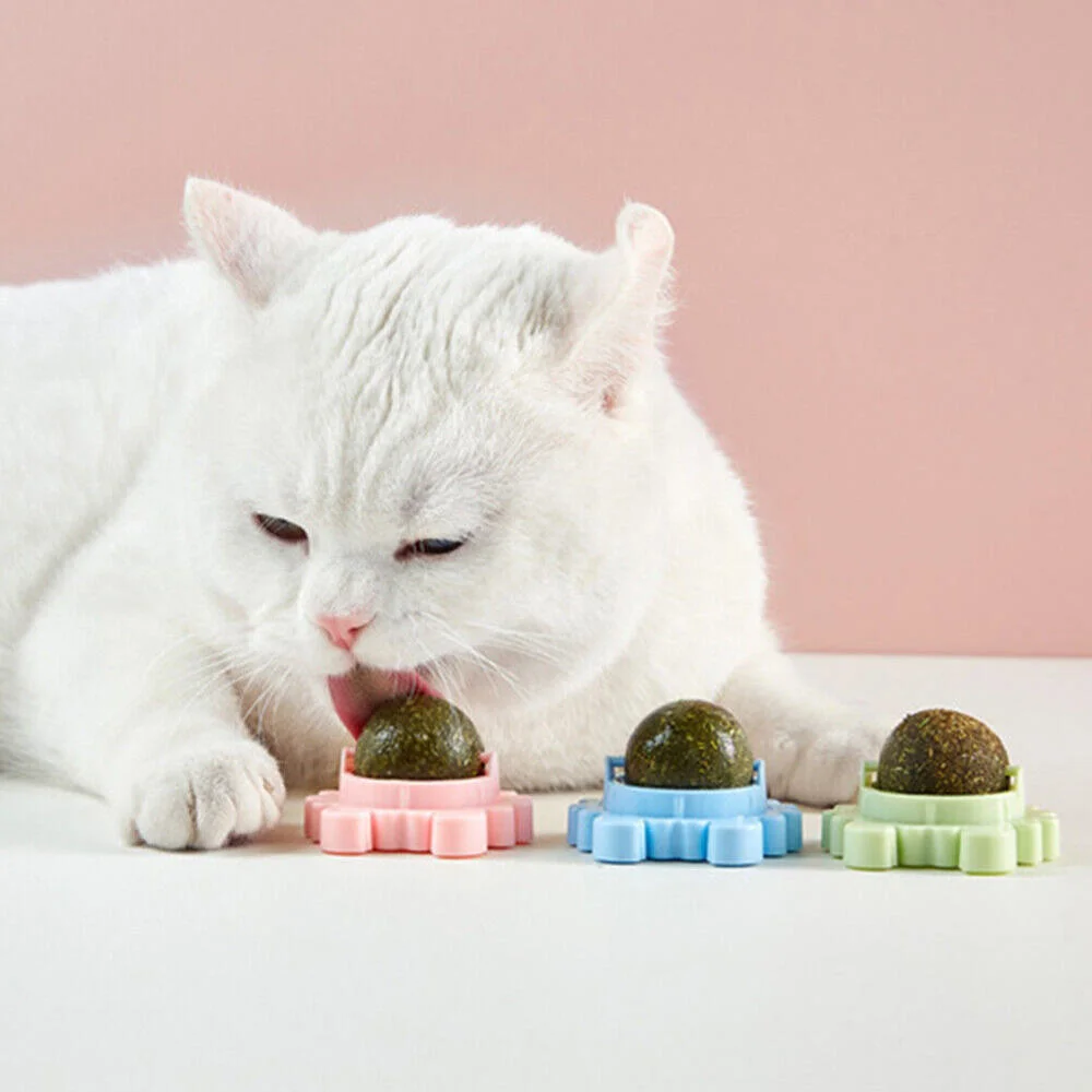

Rotating ball molar teeth cleaning happy self-healing bite-resistant interactive toy avocado catnip ball