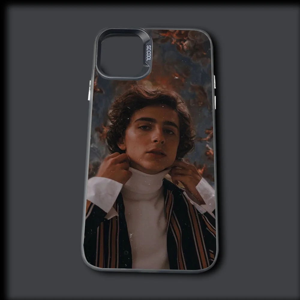 Чехол для телефона T-T Vissra C-Chalamet iPhone 16 15 14 13 12 11 Mini Pro MAX Grey Drop матовый противоударный
