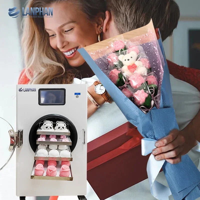 Lanphan маленькая Бытовая сублимационная машина для замороженных конфет объемом 0 4