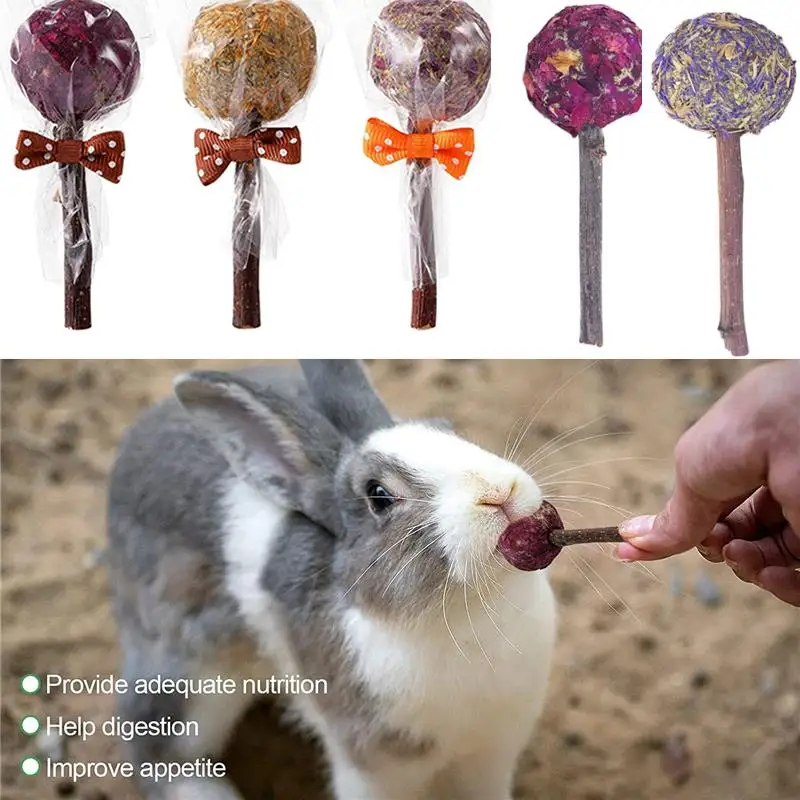 

1pc Bunny Chew Toy Lollipop of Teeth Natural Apple Wood Stick With Timothy Flower For Rabbits Chinchilla Hamsters Guinea Pigs