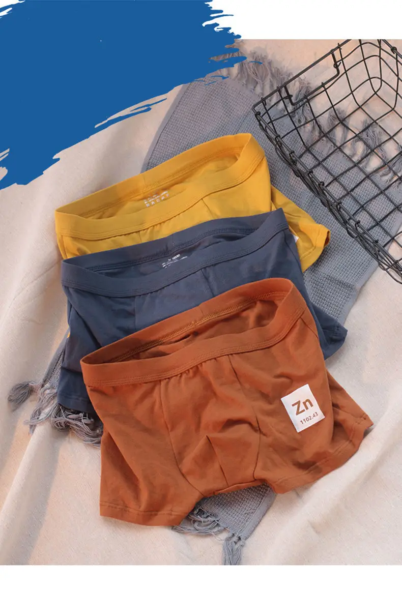 2023 Fashion Men Breathable Soft Simple Boys Underpants Underwear With Flat Bottom Boyfriend Cotton Modal Solid Alphabet