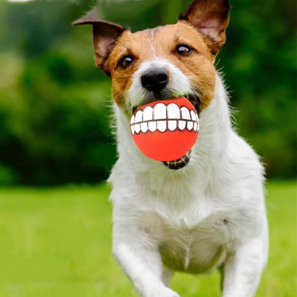 Funny Dog Rolling Ball with Sound Dog Toy Ball Dogs Ball Gnawing  Dog Interactive Pet Toy INS TWITTER Hot Products Dogs Toys
