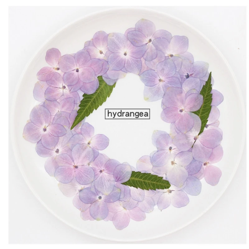 

60 Pcs/Set Natural Pink Purple Hydrangea DIY Dried Flowers UV Expoxy Resin Mold Filling Flower Nail Art Pressed Flower Makeup