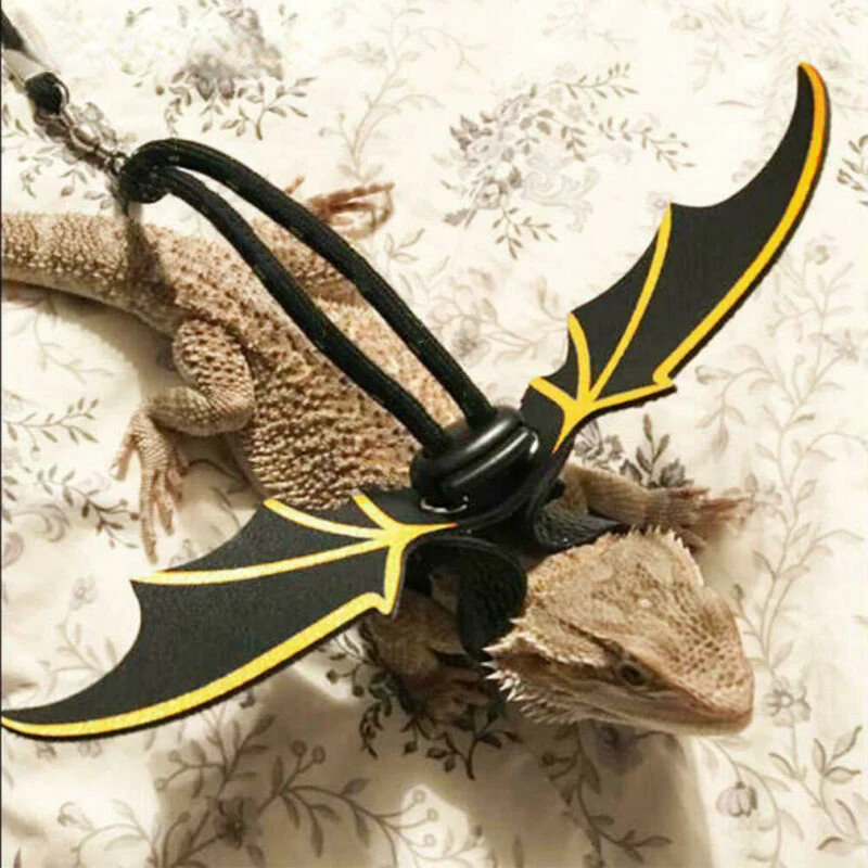 

3Pcs/set Adjustable Reptile Critter Lizard Gecko Bearded Dragon Harness and Leash Strap Wing Halloween Leash Harness Wings