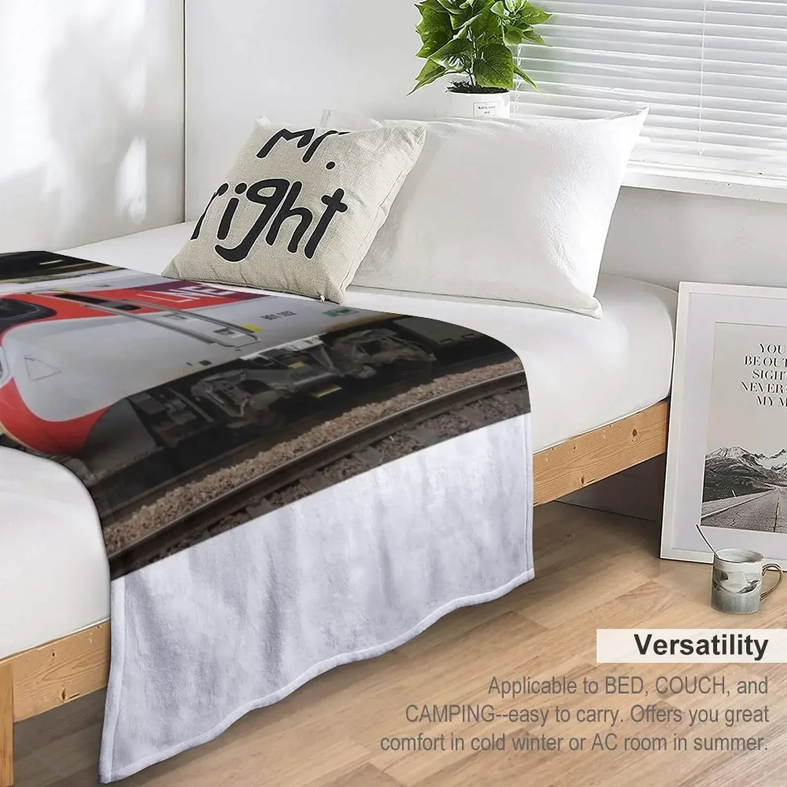 Пушистый плед для дивана LNER Azuma