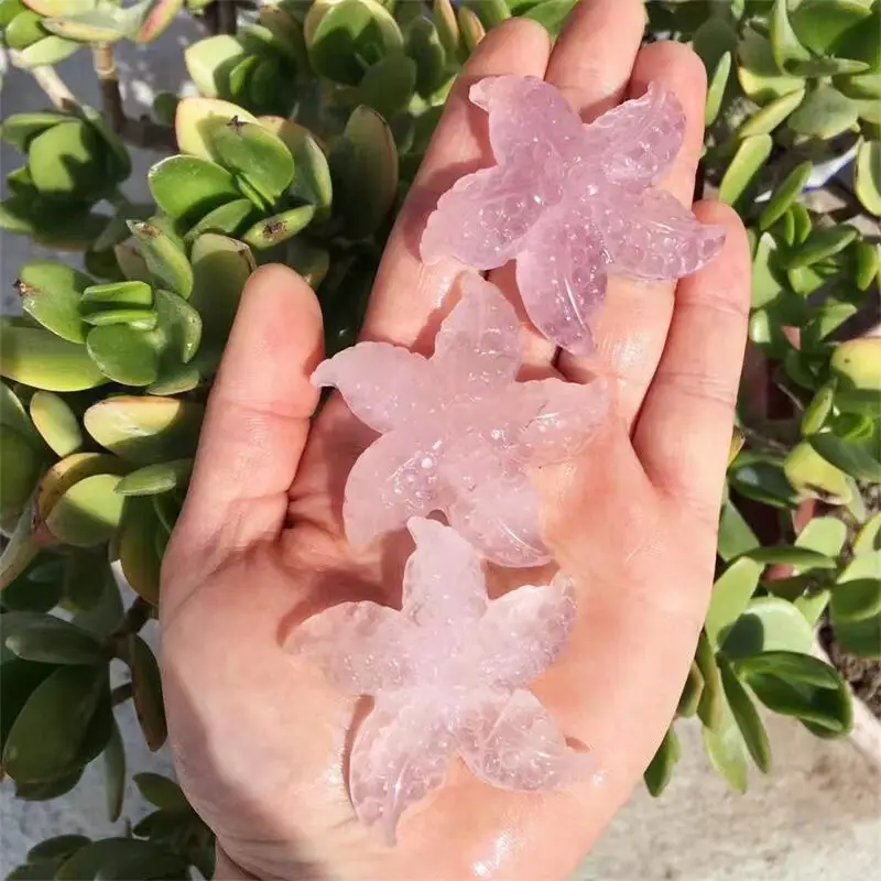 

Natural Colourful Fluorite Starfish Carved Quartz Crystal Starfish Healing Stone Crystal Charms Gift 1pcs