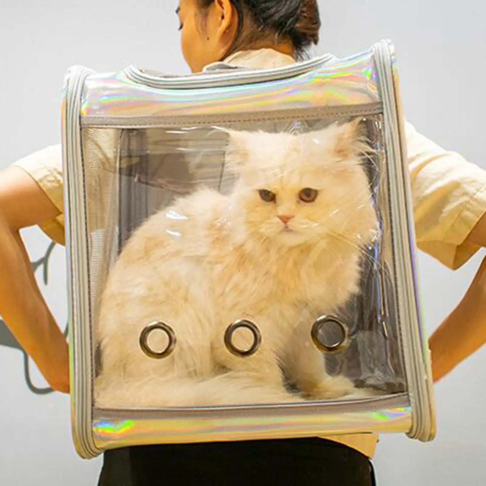 

Большая прозрачная сумка-переноска для домашних питомцев