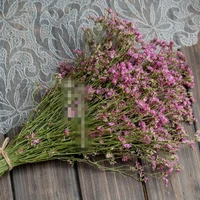 yunnan dried flower eternal flower home decoration ornament rose pink crystal dried grass flower