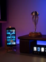 Фантастическая "живая" медуза, очень эффектная безделушка на стол#4