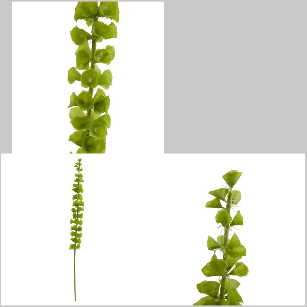 

and White Long-Lasting Gorgeous, Long-Lasting Green and White Bells of Ireland Artificial Flower (Set of 3)