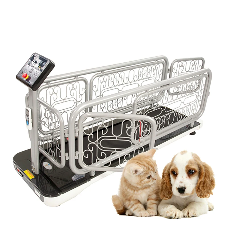 

Dog Treadmill Walking Machine Pet Treadmill For Dogs Treadmill