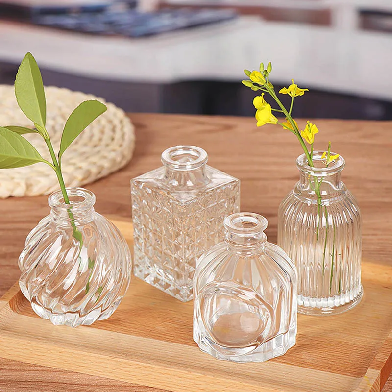 

Mini Creative Desktop Simple Vase Decoration Green Dill Hydroponic Plant Bottle