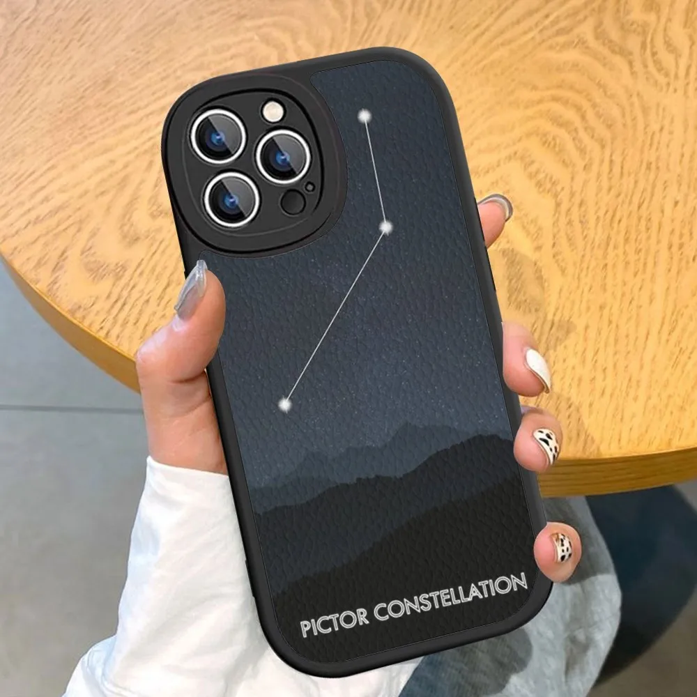 Twelve Constellations Phone Case Hard Leather For iPhone 14 13 12 Mini 11 14 Pro Max Xs X Xr 7 8 Plus Fundas