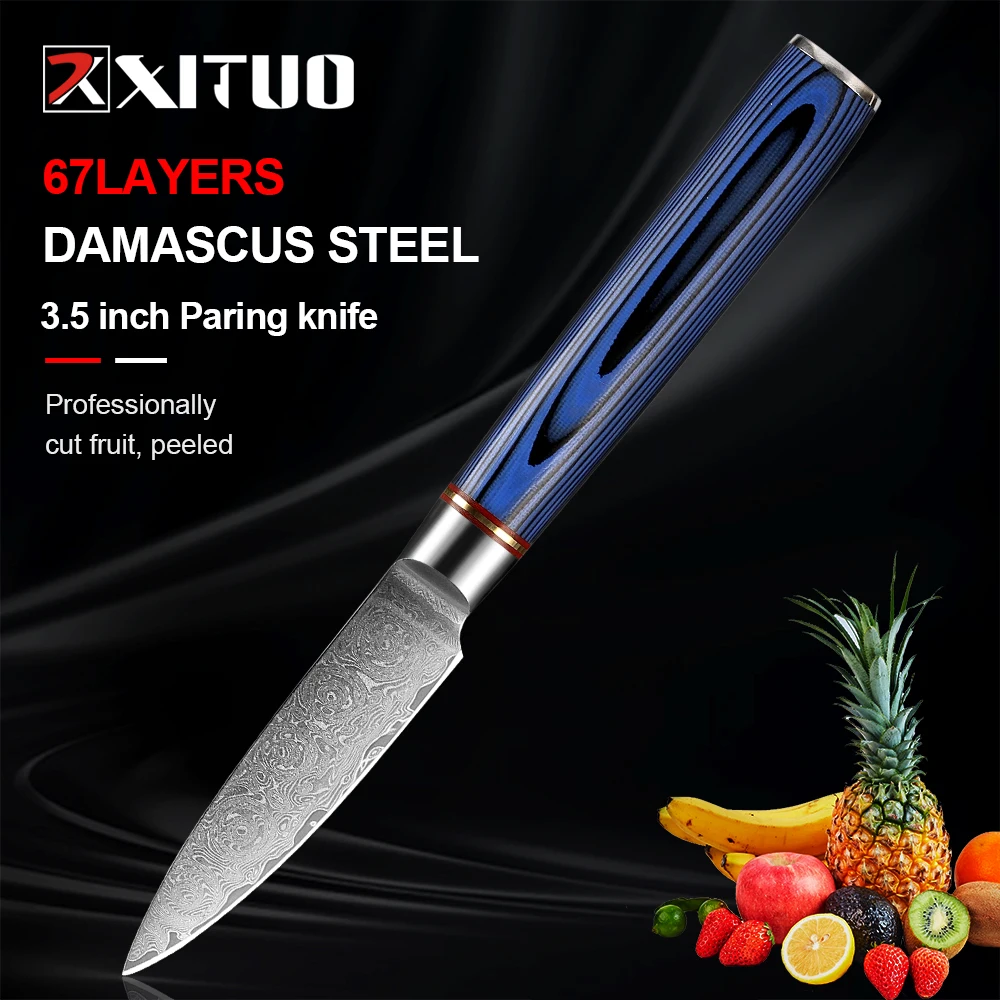 

XITUO Paring Knife 3.5Inch, Small Knife Damascus Steel VG-10 Blade Fruit Knife, Peeling Knife with blue G10 Handle Kitchen Knife