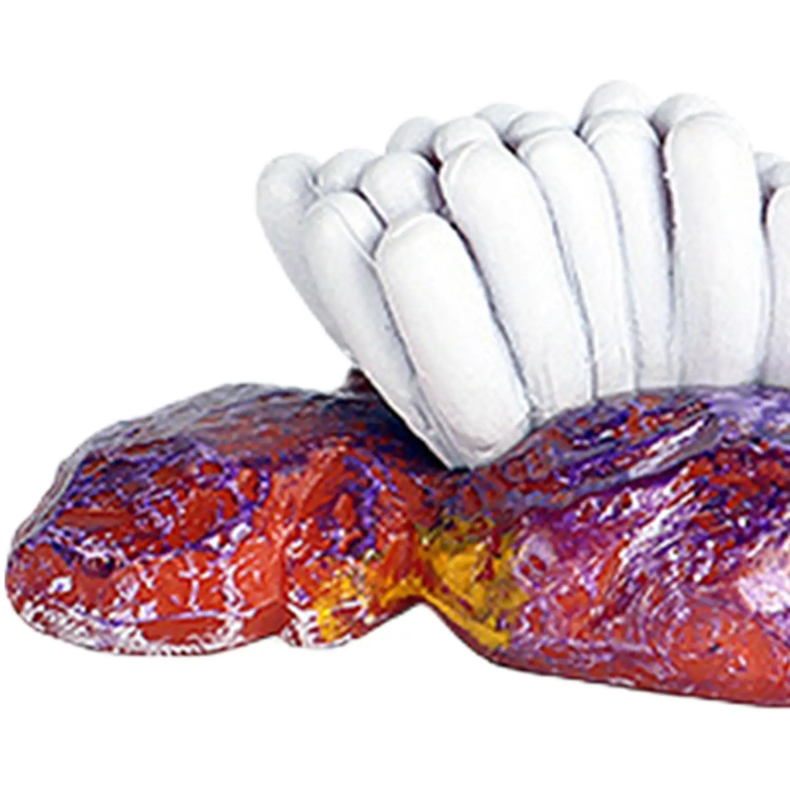 Осьминог набор жизненного цикла цикл роста животных симуляция класса Обучающие