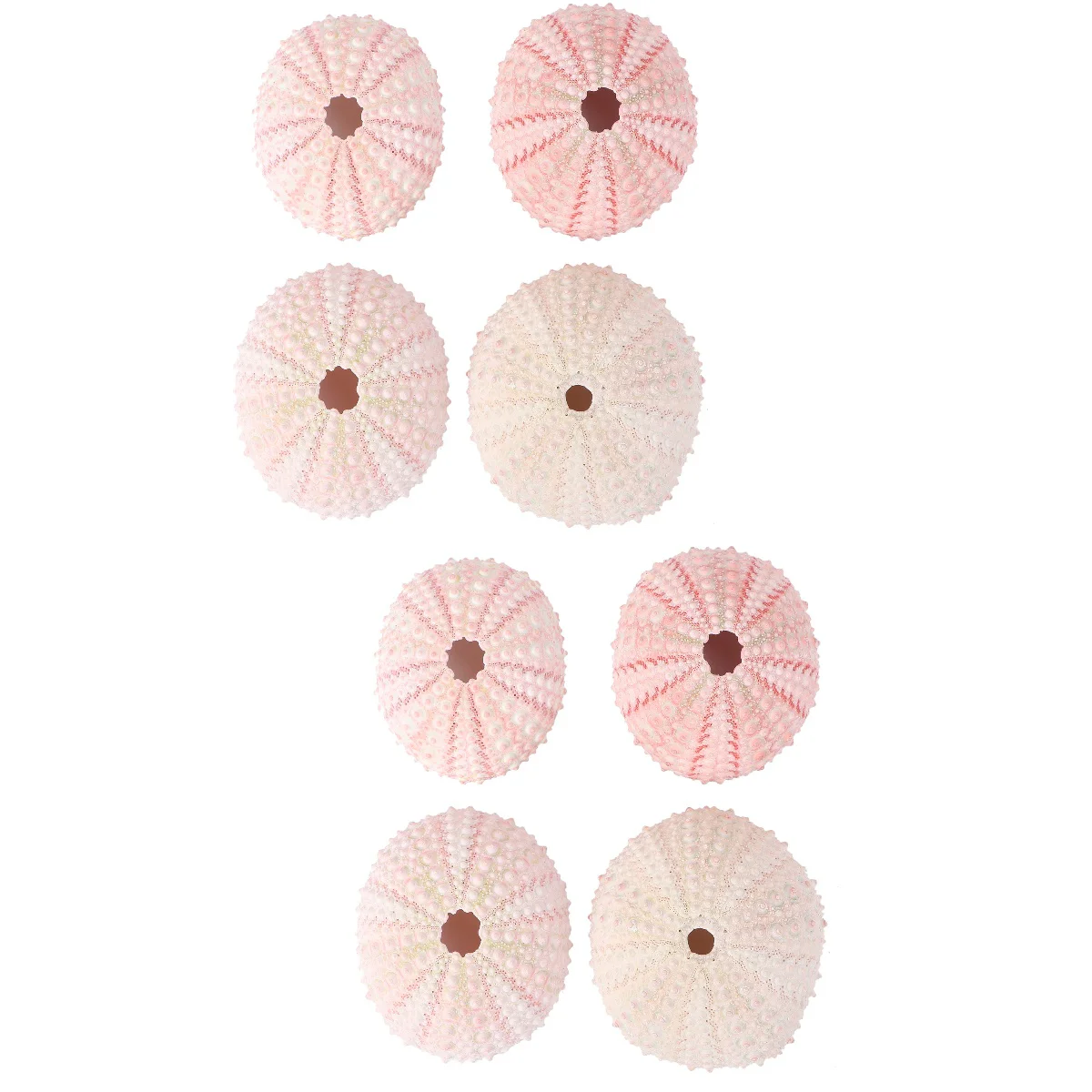 8 шт. контейнер для ананасов сделай сам | Ракушки и морские звезды