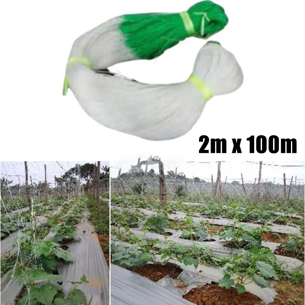 

1pc 2M X 100M Garden Plant Fruit Trellis Support Net Polythene Plants Climbing Frame Support For Pea Growth Garden Supplies