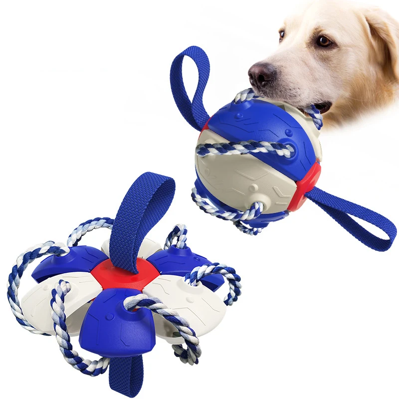 

2022 New Pet Supplies Dog Bite Resistant Toys Outdoor Training Interactive Frisby Football Dogs Pets Accessories