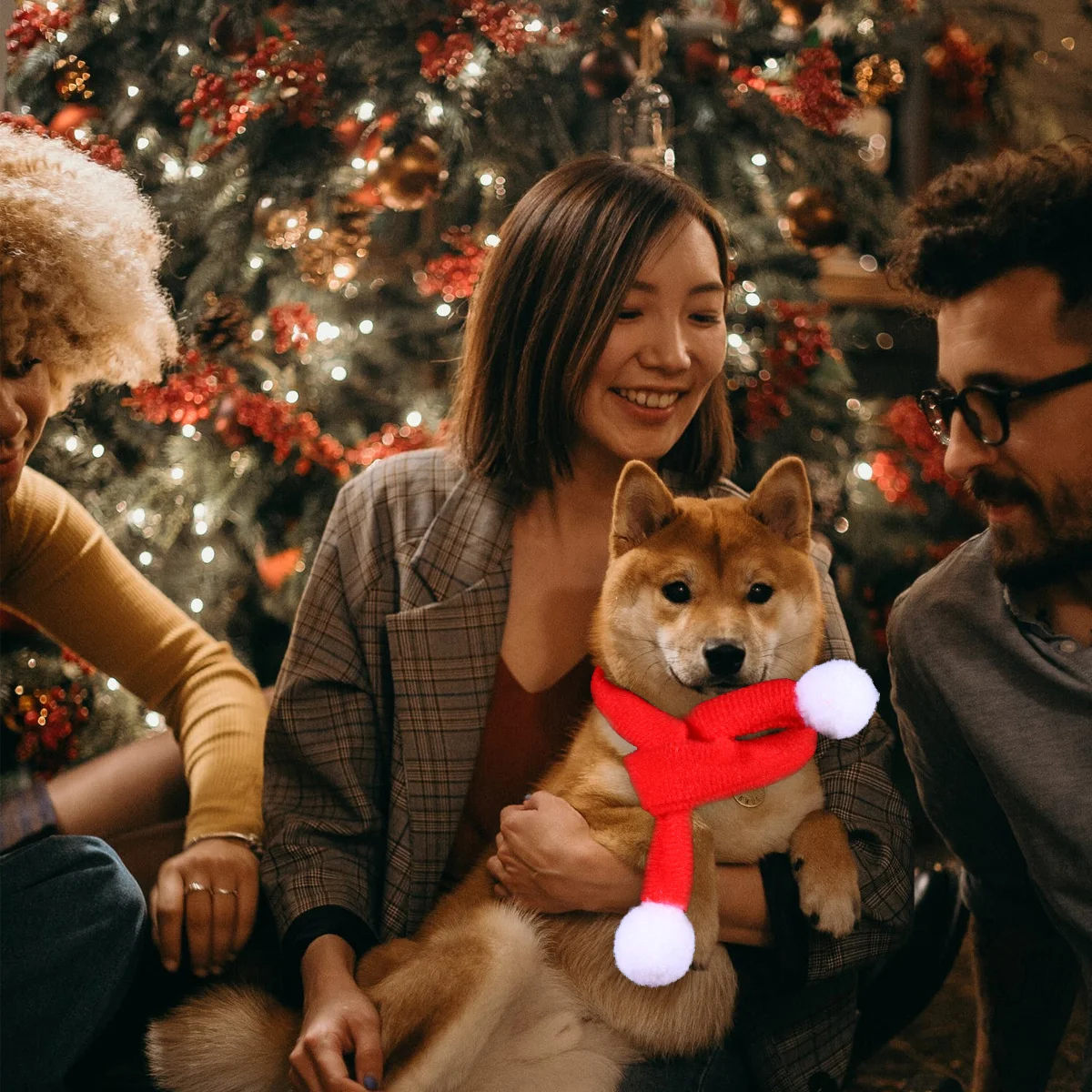 

Christmas Scarf Petbottlemini Decorations Small Winter Dogs Red Decor Necktie