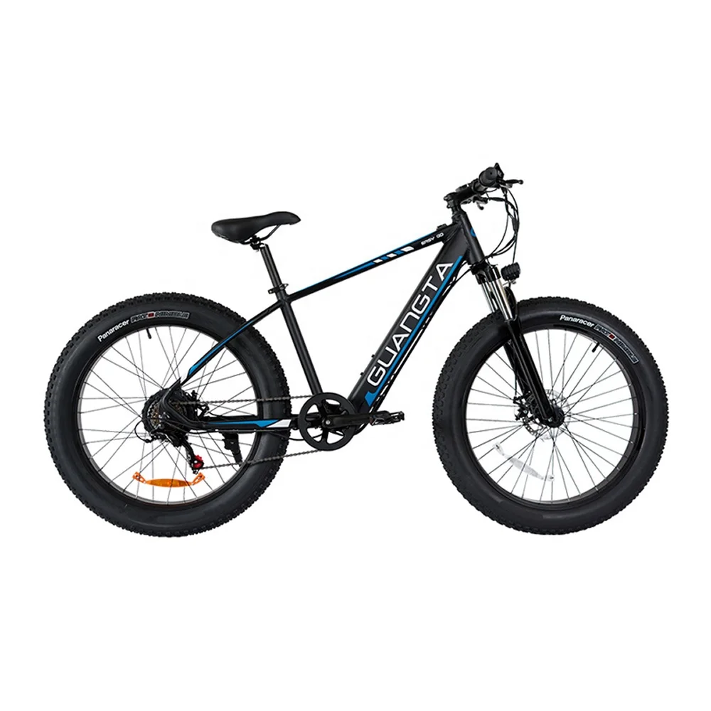 

Most Popular 48V 15A Lithium Battery Snow 350W 26" Utility Hybrid Ebike Fat Tire