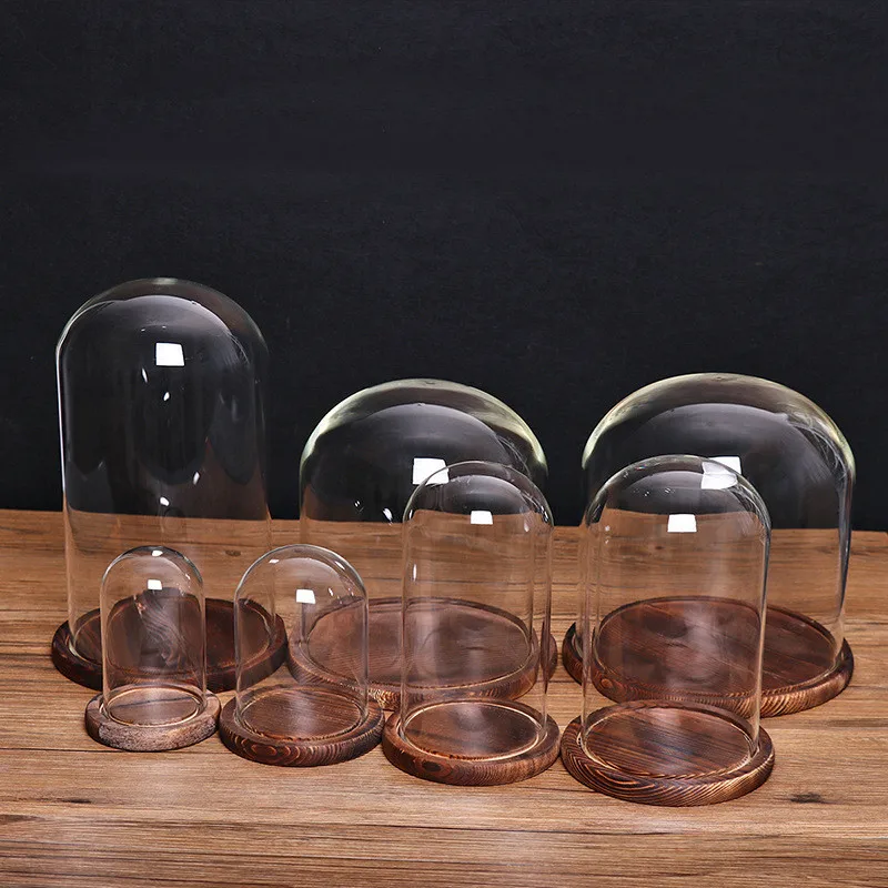 Стеклянный купол Колокол с черным угольным горением/деревянная основа цветочный