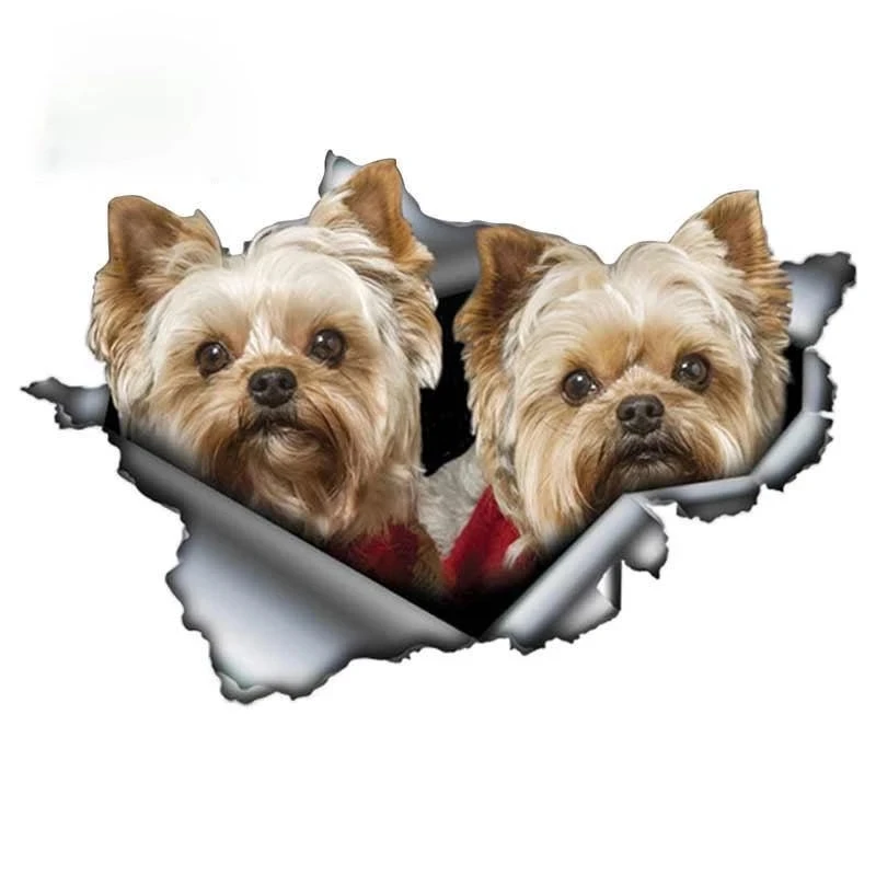 

S50065# 13/15/17CM Personality PVC Decal Yorkshire Yorkie Couple Car Sticker on Motorcycle Laptop Decorative Accessories