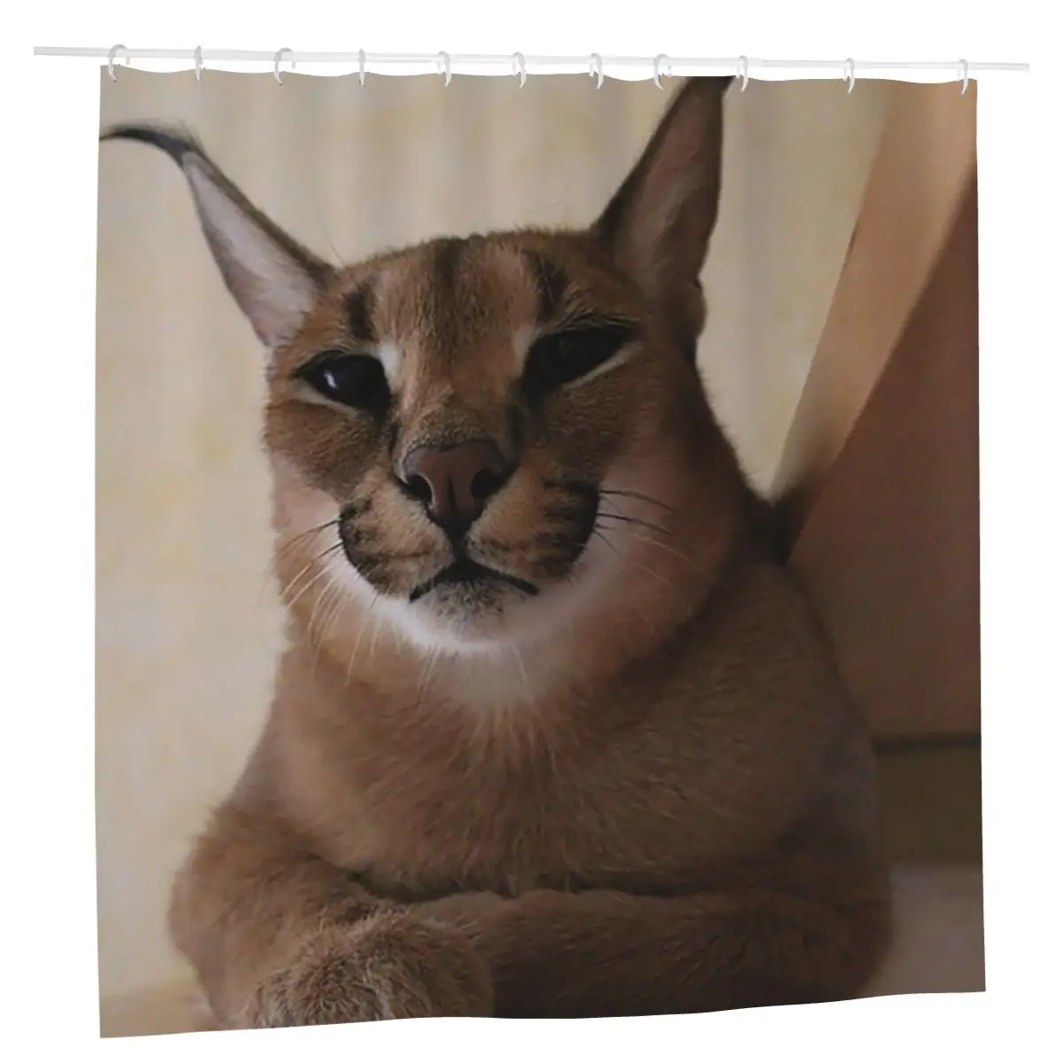 

Funny Cat Meme Shower Curtain Polyester Frabic Bath Curtains Big Floppa Anti-peeping Extra Large Wide Curtains for Home