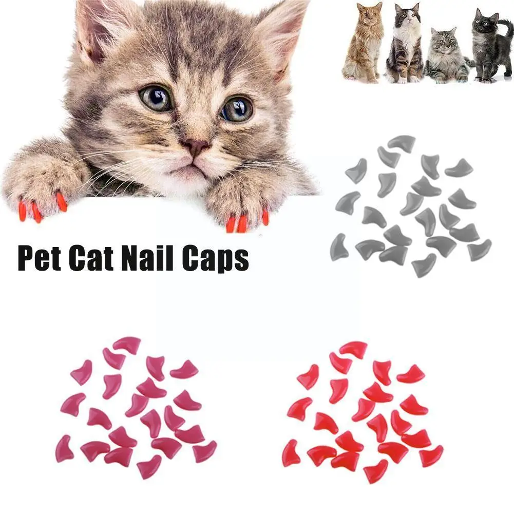 

Lovely 20pcs Silicone Soft Cat Nail Caps Cat Nail Covers Paws Glue Pet Claw Protection Adhesive Pet Animal Nails Caps A3S0