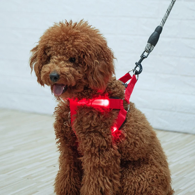 

Fashion LED Electronic Pet Harness Nylon Dog Accessories Flashing Light Pet Leash Rope Belt Dog Glowing Vest Pet Supplies