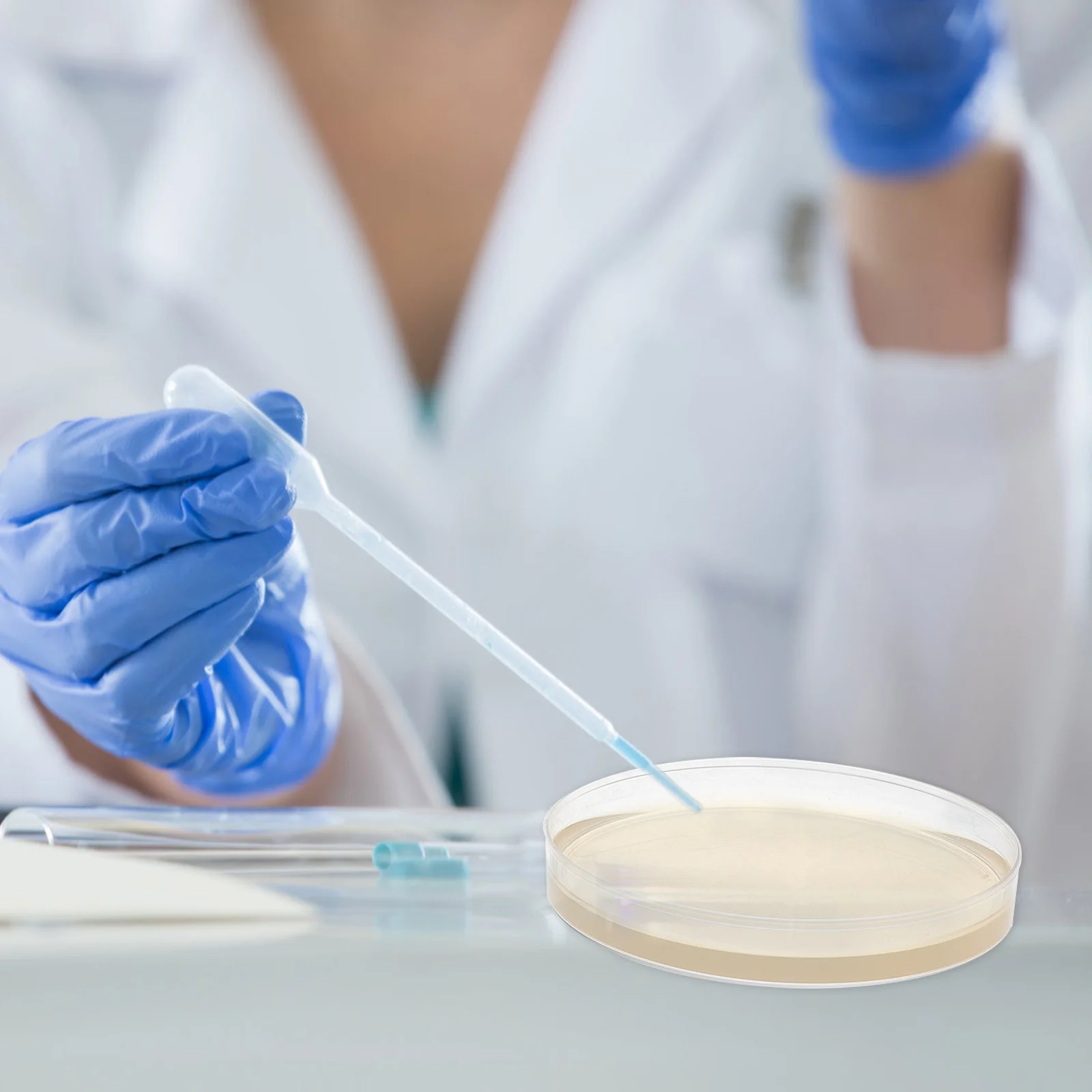 10 шт. питательная тарелка с агаром Petri Medium Science Fair Project Kit Poured Plates Kids Pre-Poured Child