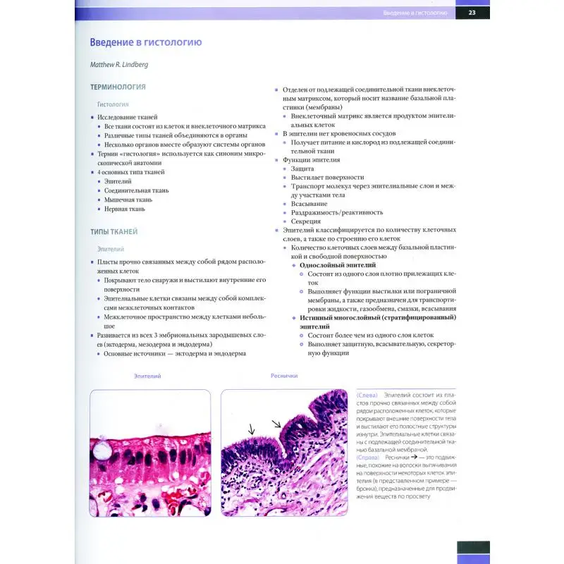 Книга Гистология для патологоанатомов под ред. М. Р. Линдберга Л. В. Лэмпс Под М.Р.