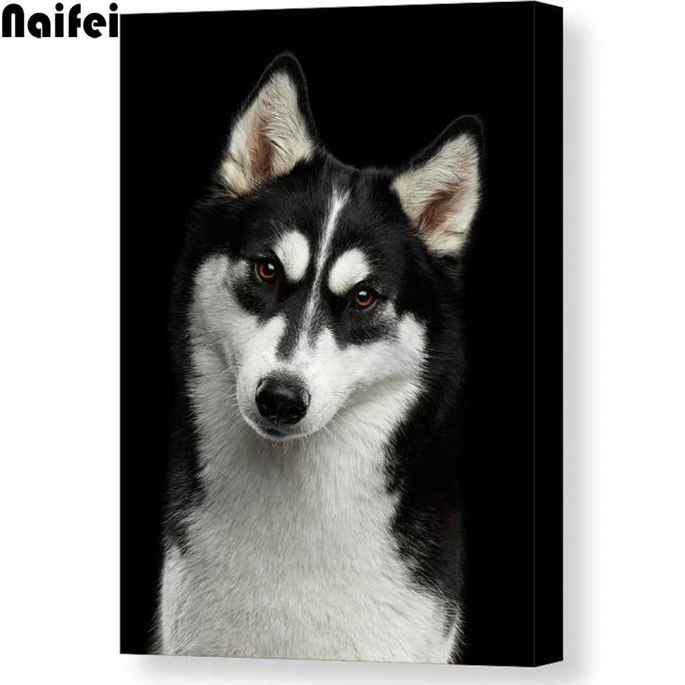 

Алмазная вышивка «Собака Хаски», Набор для вышивки крестиком, мозаика, украшение для дома