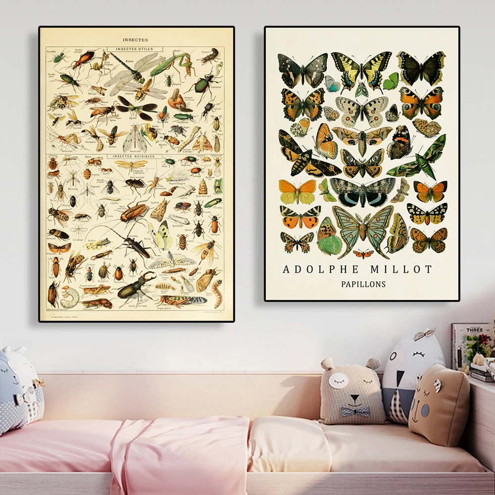 Винтажный научный постер с насекомыми таблица насекомых ботанический украшение