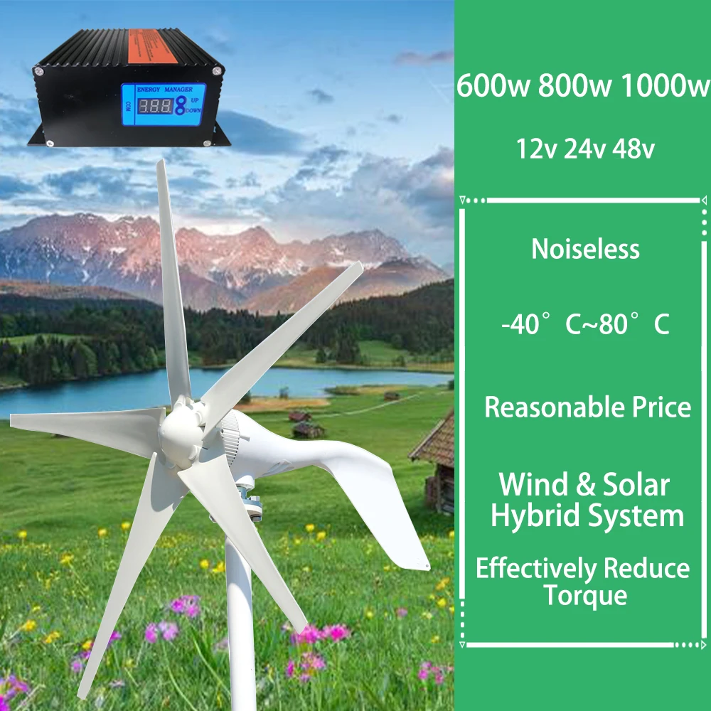 

1000W Horizontal Wind Turbine Generator 12V 24V 48V Alternative Energy Generators Free Energy Windmill With MPPT Controller