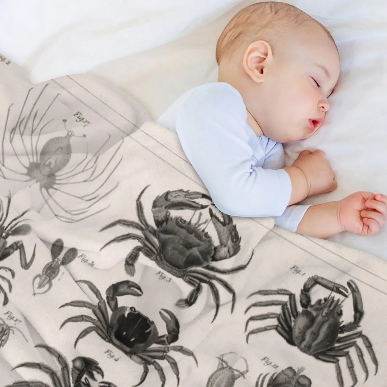 1857 диаграмма зоологии: животные включая раковины. Декоративное одеяло для