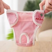 dog menstrual safety pants womens sanitary short physiological cat hygieni cperiod pant washable bitches underpants pet pampers
