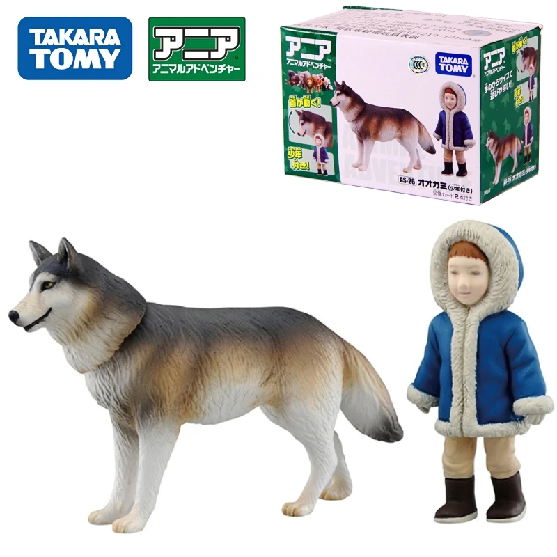 

TAKARA TOMY AS-26 Canis Lupus Animal Model ANIA Simulation Wild Animal Joint Movable Genuine Animal Model Kids Educational Toys