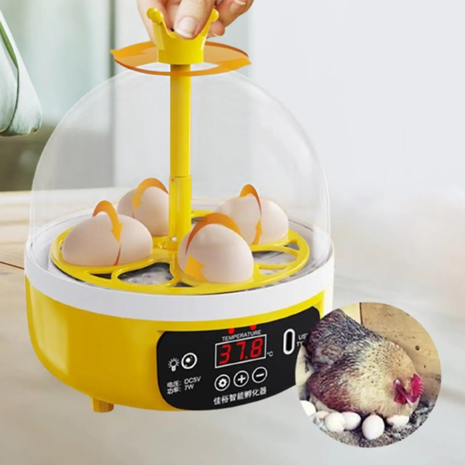 Умный инкубатор для яиц машина птицы цыплят и курицы