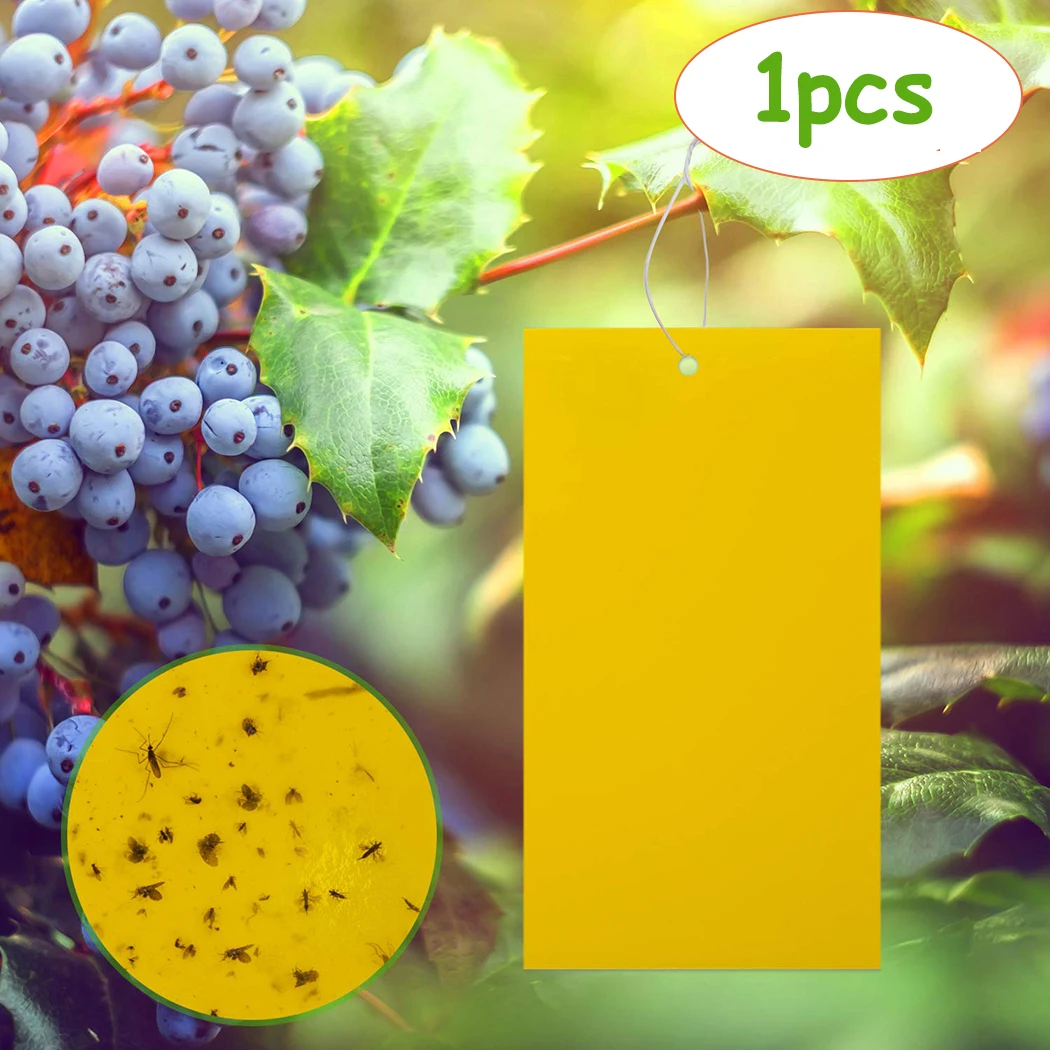 10x2 0 см фотоэлемент липкая доска ловушка для насекомых убийца вредителей мух