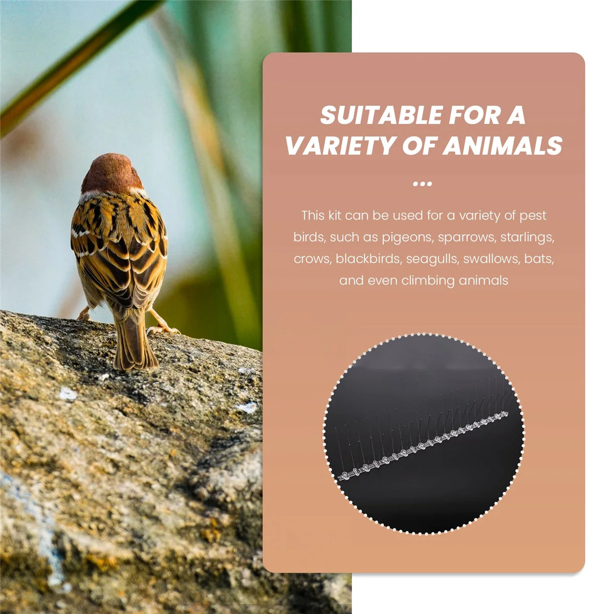 10 шт. сериалов/коробка для птиц нержавеющая сталь птица отпугивающая пуанта