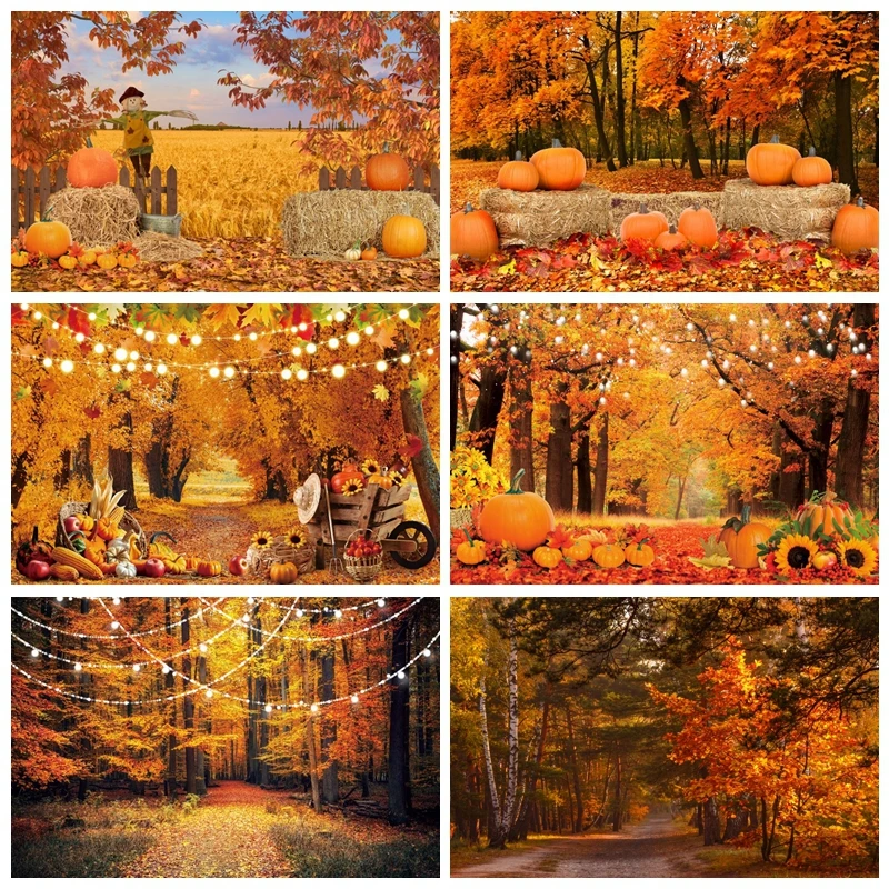 Фон для фотосъемки с изображением природного осеннего леса