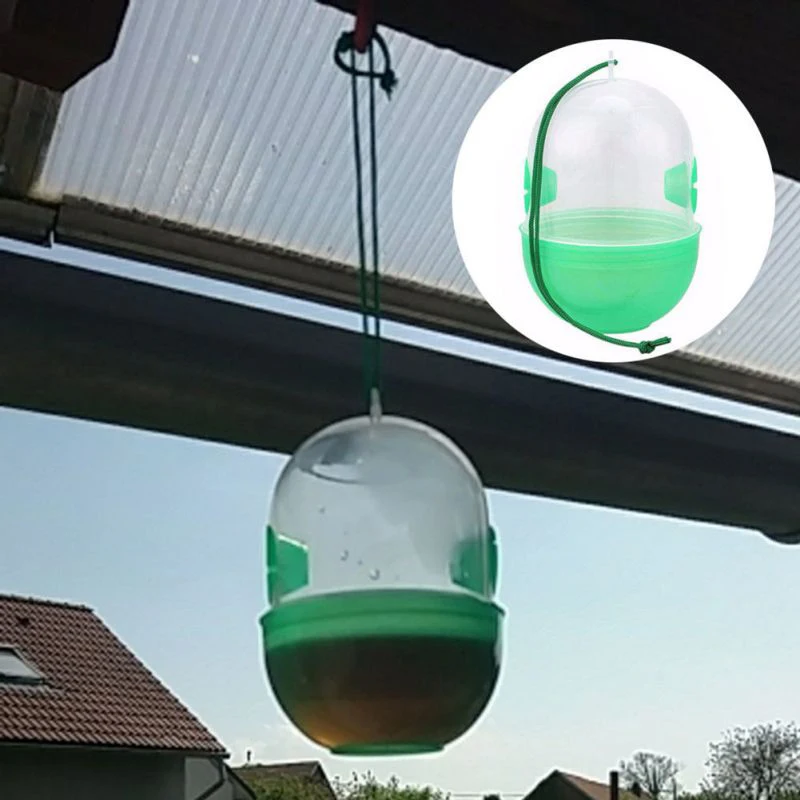 

Placed On Desktop Bee Catcher 2023 Insects Flies Hornet Trap Hung On Treetop Pest Control Products Pest Repeller Hot Plastic