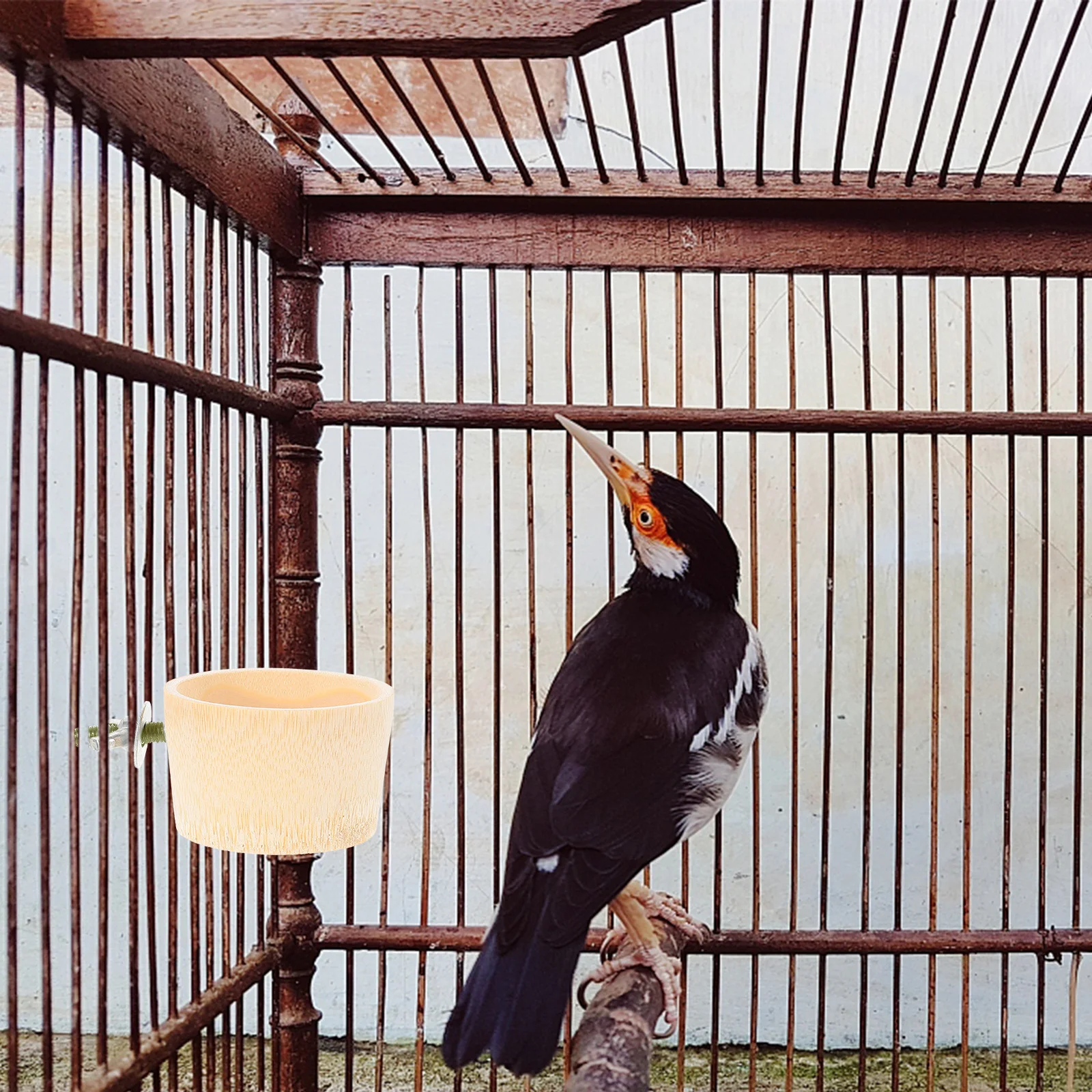 Винт для клетки птиц фиксирующие детали домашних животных винты трамплинга